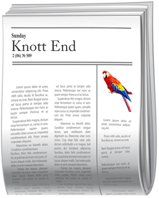 Knott End report