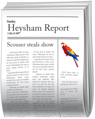 newsletter