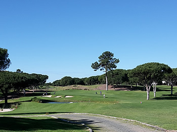 portugal 2016 parrots golf