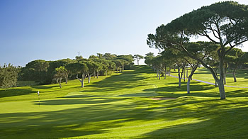 the old course